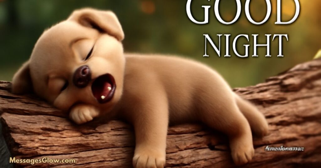 funny-good-night-messages-for-son