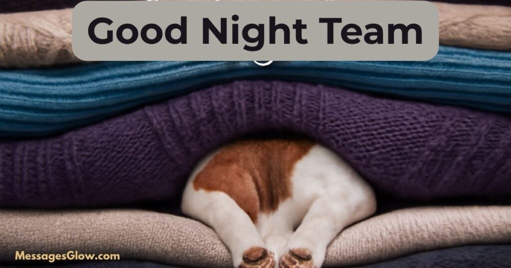 good-night-team