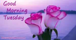 inspiration-good-morning-tuesday-messages-for-loved-ones